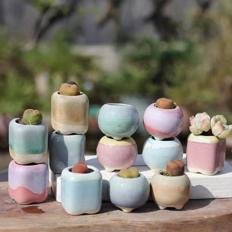 6 pçs mini vaso de flores sucu - 3D Printing Pot avaliação e preço