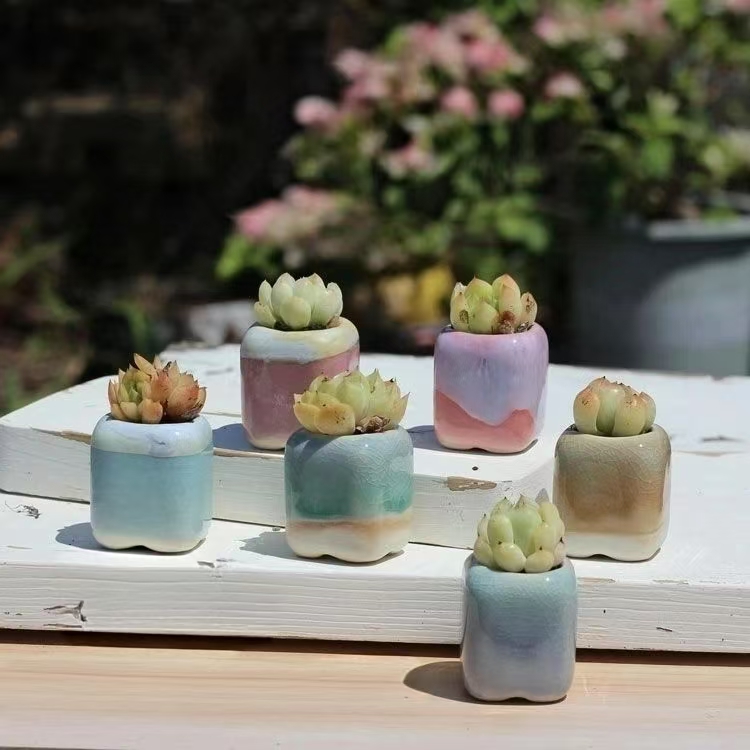 6 pçs mini vaso de flores sucu - 3D Printing Pot avaliação e preço
